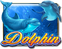 Dolphin - manu8888