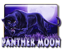 Panther Moon - manu8888